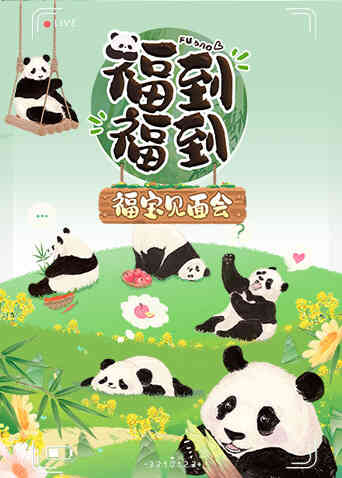 福到福到福宝见面会