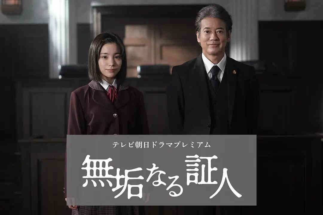 无垢的证人
